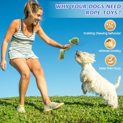 Pet Chew Rope Toy for Teething, Entertainment & Interaction, Knots Weave Cotton Rope, Biting Small Ball Tough Chew Toys for Dogs & Cats, 4 Pack - style: 4 PACK
