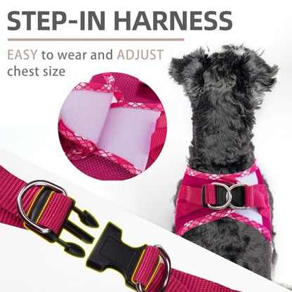 PUPTECK Dog Harness and Leash Set for Small Medium Dogs No Pull Step-in Soft Mesh Puppy Cat Vest Harnesses Reflective at Night, Fuchsia, M - color: #1 Fuchisa(Basic Mesh), size: M(CHEST 16"-18", 11-18 lbs)