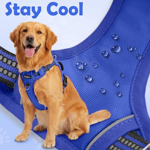 Funfox Dog Harness Medium No Pull, Adjustable 2 Clips Anti-Pull Vest with Practical Handle, Breathable Padded Pet Harness Designed for Small/Large Breeds, Reflective Training Walking Blue M - color: Blue, size: Medium