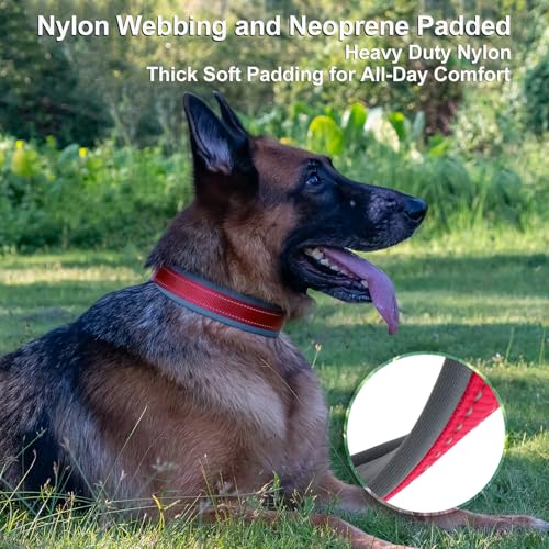 Personalized Dog Collar, Embroidered Name & Phone Number, Custom Reflective Nylon Pet Collar, Adjustable with Soft Neoprene Padding and Metal Buckle for Small Medium Large Dogs