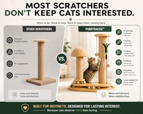 PurrTracks Dual-Track Cat Scratcher with Feather Toy
