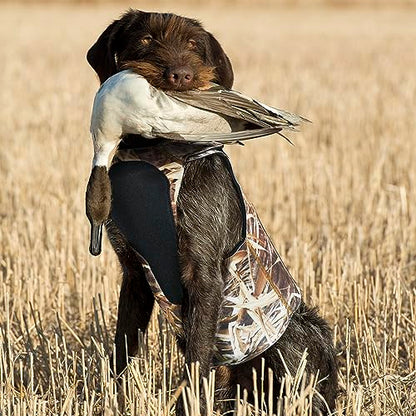 AUSCAMOTEK Neoprene Dog Vest for Duck Hunting - Insulated Camouflage Vest for Waterfowl Retriever - size: XXL