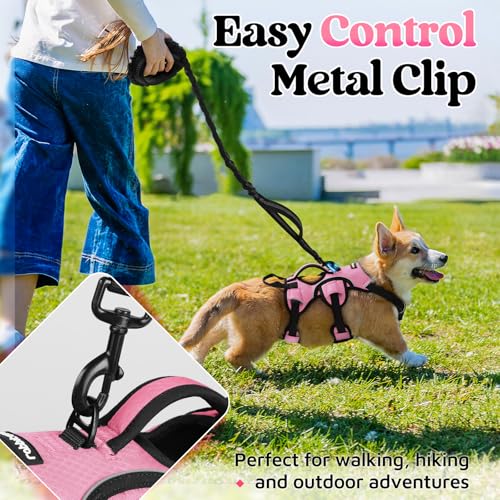 rabbitgoo Escape Proof Dog Harness Small Sized Dog, Soft Padded Full Body Pet Harness, Reflective Adjustable Vest with Lift Handle and Leash Clip for Walking Hiking Training, Light Pink, S - color: Light Pink, size: Small (Pack of 1)