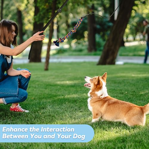 Flirt Pole for Dogs, Interactive Toys Tug-of-war for Dogs, Four-Section Retractable Adjustable Length, Chase Toys with Rope Chewing Sticks, for Outdoor Exercise & Training - size: 50Inch Pole-Black