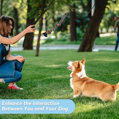 Flirt Pole for Dogs, Interactive Toys Tug-of-war for Dogs, Four-Section Retractable Adjustable Length, Chase Toys with Rope Chewing Sticks, for Outdoor Exercise & Training - size: 50Inch Pole-Black