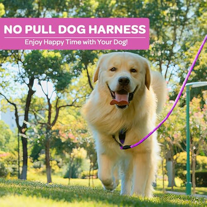Plaid Dog Harness for Large Dogs, Reflective No Pull Adjustable Pet Vest with Front Clip, Leash, Easy Control Handle and Seat Belt, Rose, XL - color: Rose, size: X-Large