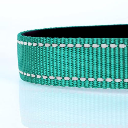 HEELE Dog Collar, Reflective Dog Collar, Soft Neoprene Padded Breathable Nylon Pet Collar Adjustable for Small Dogs, Turquoise, S(10.23-14.96") - color: Turquoise, size: Small (10.23-14.96")