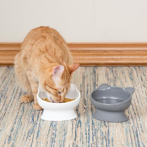 Kitty City Elevated Slow Feeder Cat Bowls (Set of 2), Whisker-Friendly Raised Cat Food Dishes with Ridges, Helps Reduce Fast Eating & Digestion Issues, Dishwasher Safe, 10.8 oz – White & Gray - color: White & Gray, style: Large - Slow Eat