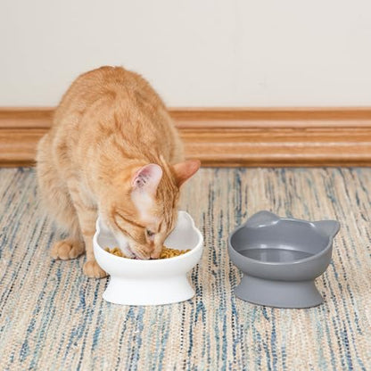 Kitty City Elevated Slow Feeder Cat Bowls (Set of 2), Whisker-Friendly Raised Cat Food Dishes with Ridges, Helps Reduce Fast Eating & Digestion Issues, Dishwasher Safe, 10.8 oz – White & Gray - color: White & Gray, style: Large - Slow Eat
