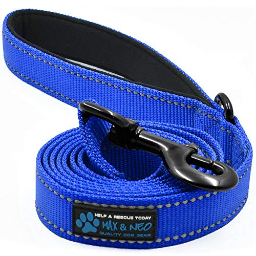 Max and Neo Reflective Nylon Dog Leash - 4 FT x 1 Inch Wide, Blue - color: BLUE, size: 4 FT x 1" Wide