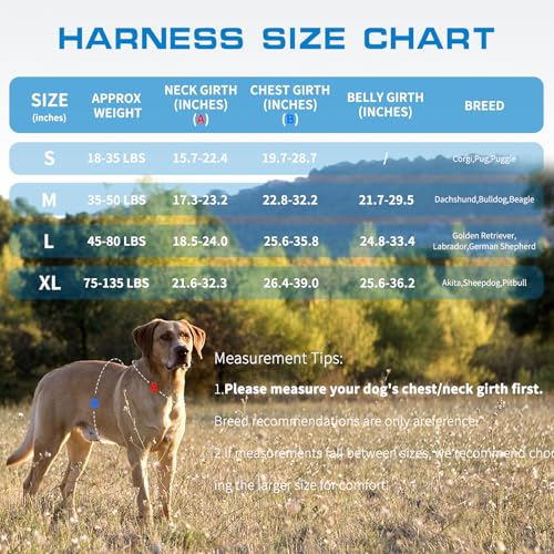 Small Dog Harness, Heavy Duty Tactical No Pull Dog Harness, No Choke, Easy On and Off Pet Vest with Molle System, Adjustable Reflective Dog Vest with Breathable Padded for Walking Hiking Training - color: Blue, size: S(Neck:16-22",Chest:20-28"),18-35 lbs