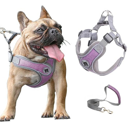 Medium Dog Harness and Leash Set,No Pull Adjustable Step in Soft Mesh Vest Harness,Easy Walk Reflective Pet Harness with Padded Handle for Walking Training Small Medium Large Dogs and Cats (Purple, M) - color: Purple, size: M