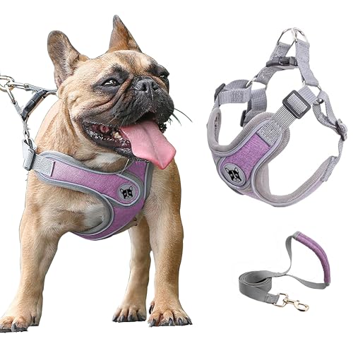 Small Dog Harness and Leash Set,No Pull Adjustable Step in Soft Mesh Vest Harness,Easy Walk Reflective Pet Harness with Padded Handle for Walking Training Small Medium Large Dogs and Cats (Purple, S) - color: Purple, size: S
