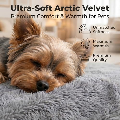 Orthopedic Small Dog Bed for Small Dogs 20 x 16Inch, L Shaped Memory Foam Puppy Pet Bed with Sides, Washable Dog Couch Sofa with Removable Velvet Cover & Non-Slip Bottom, Gray - size: 19.7" L x 15.8" W x 4.4" H--With sides