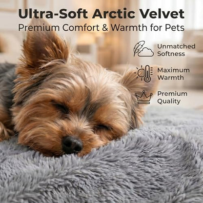Orthopedic Small Dog Bed for Small Dogs 20 x 16Inch, L Shaped Memory Foam Puppy Pet Bed with Sides, Washable Dog Couch Sofa with Removable Velvet Cover & Non-Slip Bottom, Gray - size: 19.7" L x 15.8" W x 4.4" H--With sides