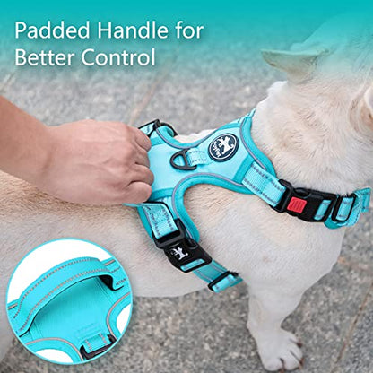PoyPet No Pull Dog Harness, No Choke Reflective Dog Vest, Adjustable Pet Harnesses with Easy Control Padded Handle for Small Medium Large Dogs(Mint Blue Matching Trim,XS) - color: Mint Blue(Matching Trim), size: XS