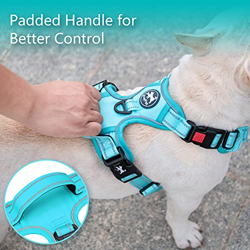 PoyPet No Pull Dog Harness, No Choke Reflective Dog Vest, Adjustable Pet Harnesses with Easy Control Padded Handle for Small Medium Large Dogs(Mint Blue Matching Trim,XS) - color: Mint Blue(Matching Trim), size: XS