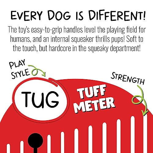 Jolly Pets Jolly Tug-a-Mal Turtle Tug/Squeak Toy, Extra Large (JTA75) - color: Turtle, size: XL