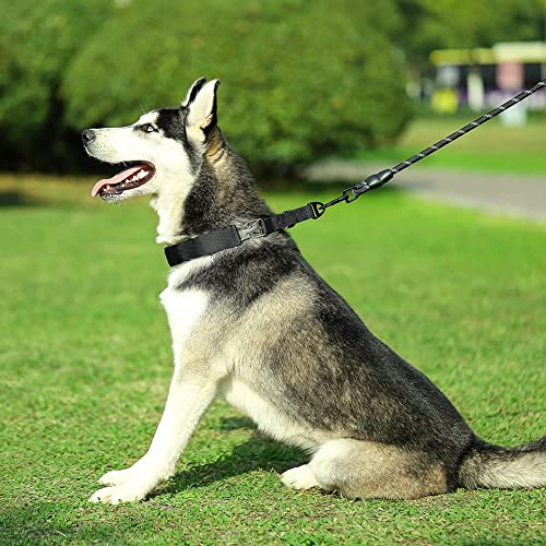 Dog Prong Collar, Adjustable Dog Training Collar with Quick Release Buckle for Small Medium Large Dogs - color: Luxury Black, size: L/3.5mm (Neck: 18"-20" Weight: 70 lbs)