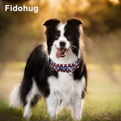 Reflective Martingale Dog Collar with Buckle Soft Nylon Geometric Patterns Pet Collars for Small Dogs (Argyle, S) - color: Argyle, size: Small