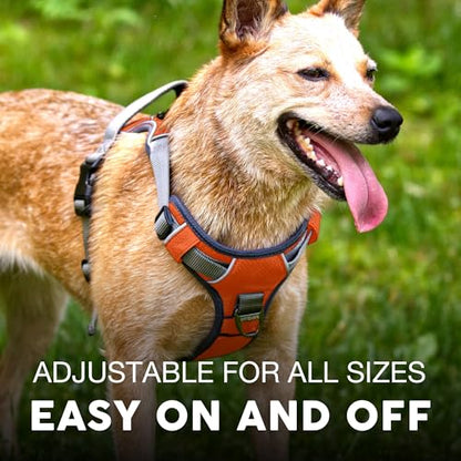 Embark Adventure Small Dog Harness – No-Pull, Reflective Trim, Military-Grade Nylon, Front Clip with Gel-Lined Handle - color: Orange, size: S