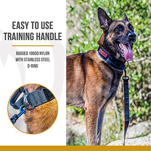OneTigris Tough Dog Collars, Tactical Dog Collar with Handle, Milltary Adjustable Dog Collar with Heavy Duty Metal Buckle for Training (Medium (Pack of 1), Black) - color: Black, size: Medium