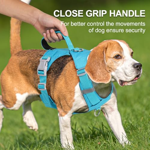 No Pull Dog Harness with Handle, Adjustable Soft Pet Vest Harness with Lightweight for Small Medium Large Sized Dog,Blue,S - color: Blue, size: S