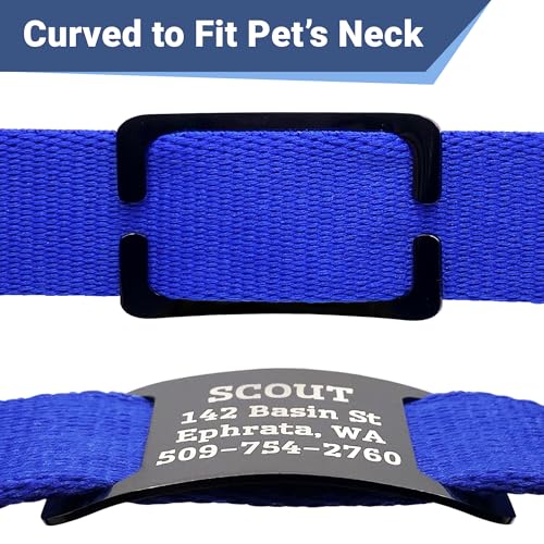 GoTags Slide-On Pet ID Tags, Personalized Dog and Cat Collar Tags, Silent, No Noise Tags Made of Stainless Steel, Custom Engraved