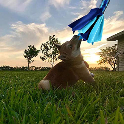 Interactive Dog Toys - Extendable Flirt Pole with 2pcs Fleece Lure Tugs for Dog Outdoor Entertainment, Train and Exercise, New Blue - color: new blue
