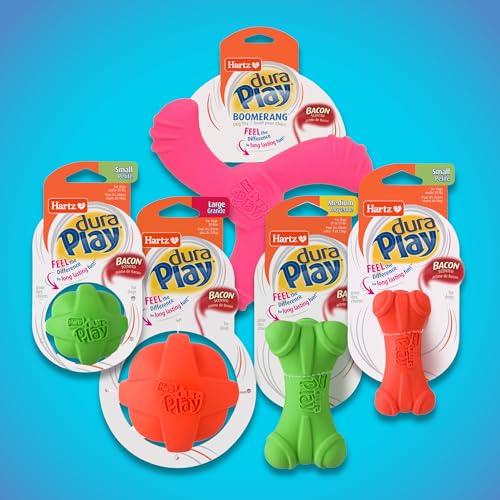 Hartz DuraPlay Bacon Scented Dog Toys, Large 1 Count, Colors May Vary (Pack of 2) - size: 2 Count, style: Large Ball