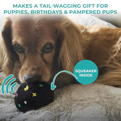 Haute Diggity Dog Chewy Vuiton Trunk Puzzle with 3 Plush Squeaky Dog Toys, Soft Durable Designer-Inspired Stuffed Puppy Chew Toys for Small & Medium Dogs, Machine-Washable (Black Monogram) One Size - color: Black Trunk, size: One Size