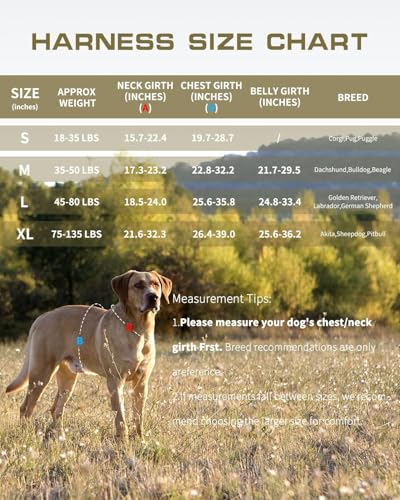 Small Dog Harness, Heavy Duty Tactical No Pull Dog Harness, No Choke, Easy On and Off Pet Vest with Molle System, Adjustable Reflective Dog Vest with Breathable Padded for Walking Hiking Training - color: Desert Camo, size: S(Neck:16-22",Chest:20-28"),18-