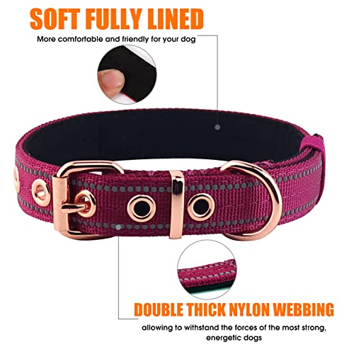 Neoprene Padded Dog Collar, Nylon Collar for Small to Large Dogs, Heavy Duty with Metal Buckle, Reflective(Small, Wine red) - color: Wine red, size: Small(Pack of 1)