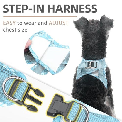 PUPTECK Dog Harness and Leash Set for Small Medium Dogs No Pull Step-in Soft Mesh Puppy Cat Vest Harnesses Reflective at Night, Sky Blue, XS - color: #1 SkyBlue(Basic Mesh), size: XS(CHEST 13"-14.5", 3-9 lbs)