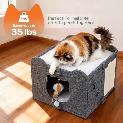 Yesday Detachable Felt Cat Bed Condo Shelter House for Indoor Use, Durable and Warm Flannel, Cozy Shelter with Built-in Scratching Board and Bonus Cat Toys (Black) - color: Black