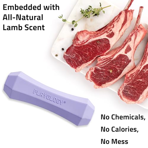 Playology Dog Toys | Squeaky Chew Stick for Dogs | Lamb Scented Medium Fetch Toy | Squeaky Dog Chew Toy - size: Medium, style: Lamb