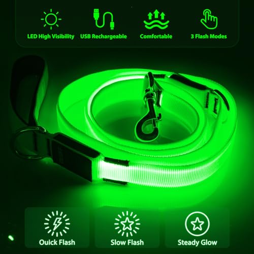 LED Dog Leash 6 Feet Micro USB Rechargeable Nylon Webbing Glow Safety Standard Dog Leash (Green) - color: Green, size: 6 Feet
