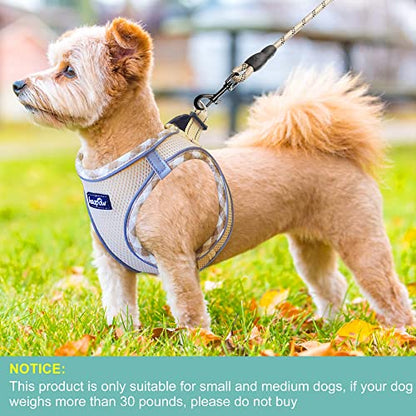 haapaw Dog Harness with Leash Set, No Pull Adjustable Reflective Step-in Puppy Harness with Thickened Padded Vest for Extra-Small/Small Medium Dogs - color: Beige, size: M