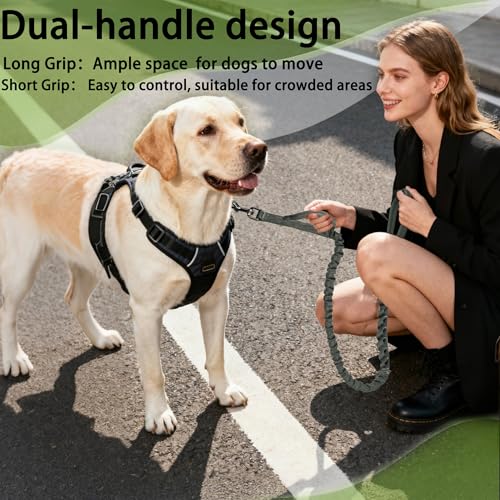 FOVRLZSE Reflective Bungee Dog Leash for Small Medium Large Dogs - 4FT to 5FT Adjustable Shock Absorbing Leash with Double Padded Handle & 360 No Tangle Metal Clasp (Olive Green) - color: Olive Green
