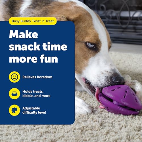 PetSafe Busy Buddy Twist 'n Treat Dispensing Dog Toy - Medium - size: Medium (Pack of 1)
