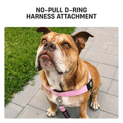 D-Ring No-Pull Harness Attachment by Dog Friendly Co. - size: S-XL