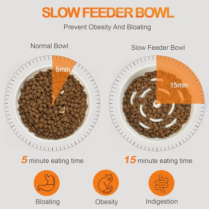 Raised Slow Feeder Cat Bowl, 5.9 Inch Wide Shallow Ceramic Elevated Glass Food Bowl Puzzle Feeders, Anti Vomit Cat Dish, Whisker Friendly Pet Plates Feeding Station for Cats(2 Slow Feeder) - size: 2 Slow Feeder