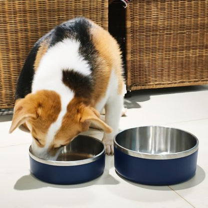 2 Pack Stainless Steel Dog Bowls, Outdoor Dog Water Bowl with Non Slip Rubber Bottom, Dishwasher Safe, Easy to Clean,40oz&64oz Blue - color: BLUE