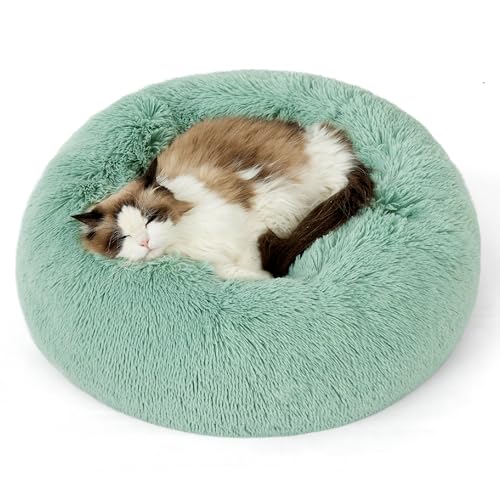 Bedsure Calming Cat Beds for Indoor Cats - Small Cat Bed Washable 20 inches, Anti-Slip Round Fluffy Plush Faux Fur Pet Bed, Fits up to 15 lbs Pets, Garden Green - color: Apple Green, size: 20"L x 20"W x 6"Th