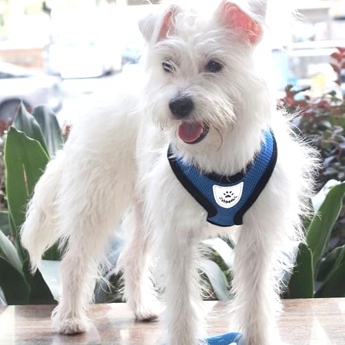Pet Dog Vest Harnesses Puppy Cotton Polyester Adjustable Dog Mesh Harness Travel Chest Strap Vest Reflective (M, Blue) - color: Blue, size: M
