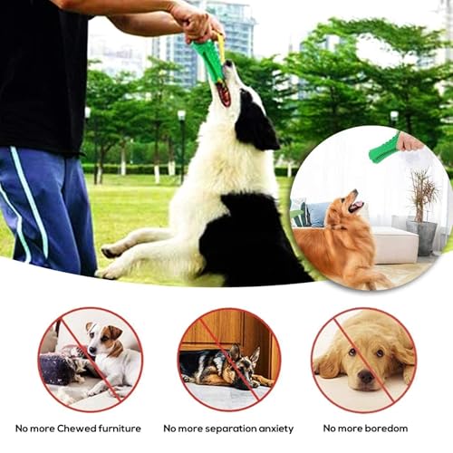 Dog Chew Toys for Aggressive Chewers – Alligator Dog Chew Toy for Large, Medium & Small Dogs – Tough Natural Rubber for Teeth Cleaning – Squeaky Interactive Dog Toys to Keep Them Busy