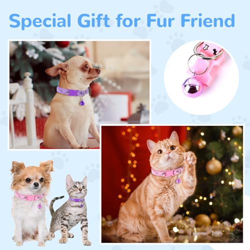 XXS Dog Collar Teacup Dog Collar, Printed Dog Collars, Mini Printed Dog Collars, Teacup Dogs Collars for Small Dogs Cats, Red, 3/8 inch Width - color: Red