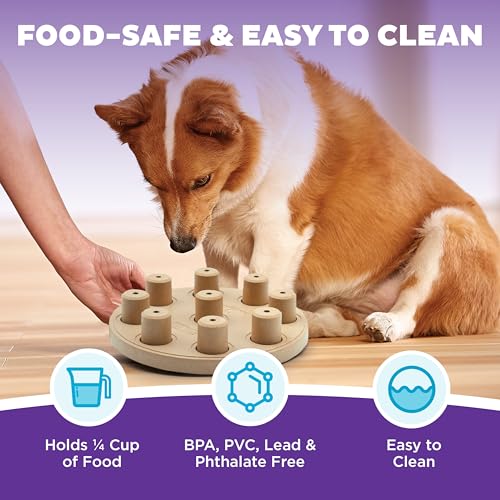 Outward Hound by Nina Ottosson Dog Smart Treat Puzzle Enrichment Toy, Level 1 Beginner, Tan, Composite - color: Dog Smart Composite (Tan)