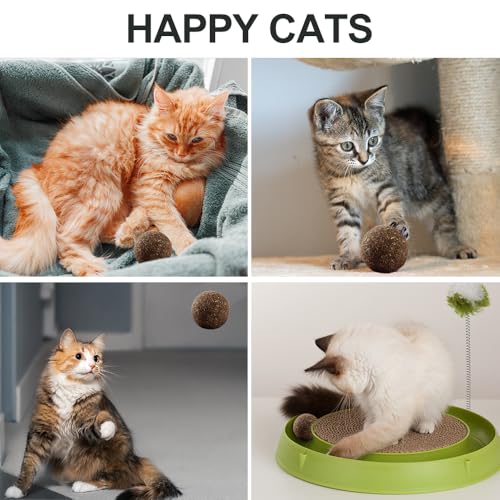 Natural Catnip Toys for Indoor Cats Interactive Cat Nip Balls, 5Pcs, 2 Catnip, 2 Silvervine, and 1 Gall Fruit Ball - size: 5 Pack, style: Catnip Ball