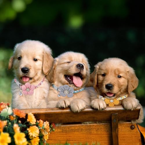 TIESOME 3Pack Small Dog Collar with Flower, Cute Puppy Collars Dog Collars for Small Dogs with Bell for Female Puppy (Peach, Yellow, Peacock Blue)